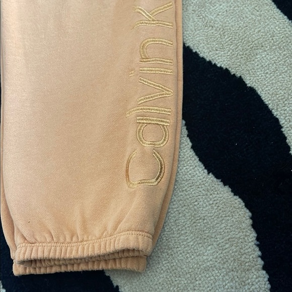 Calvin Klein Beige Hoodie and Joggers Set - Picture 8 of 16